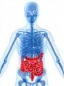 Gastrointestinal