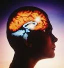 Mental Disorders